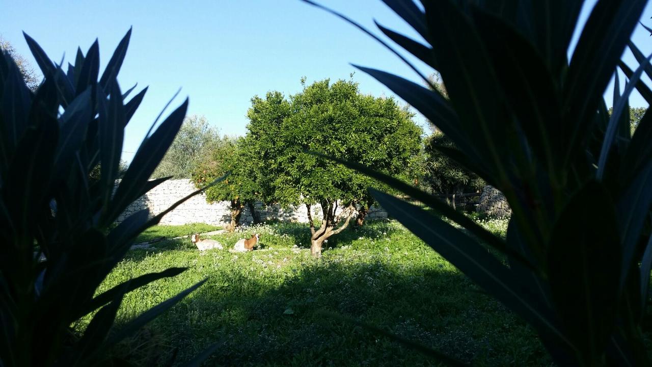 Cannizzara Valata Minusa Country Resort מראה חיצוני תמונה